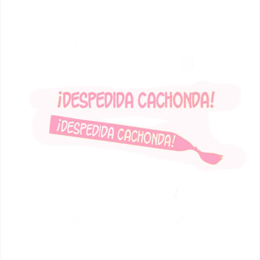 Banda despedida 'Despedida cachonda'