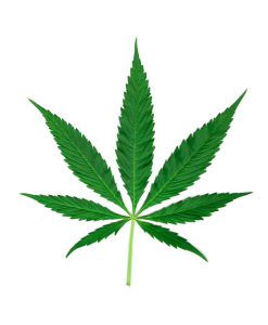 Alternative view of Oh! Holy Mary aceite vibrador con calor