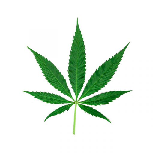 Oh! Holy Mary aceite vibrador con calor - Imagen 2