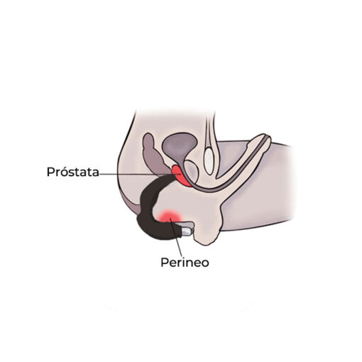 Dreamtoys Booty Pleaser masajeador prostático - Imagen 4