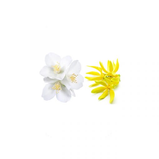 Swede aceite masaje ylang ylang y jazmin - Imagen 2