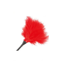 Alternative view of Darkness pluma argada roja