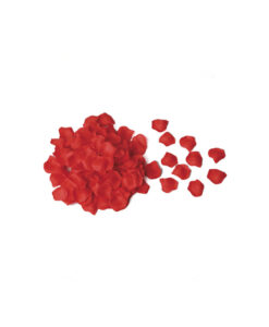 Alternative view of Pétalos de rosa rojos