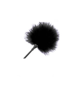Alternative view of Darkness pluma argada negra