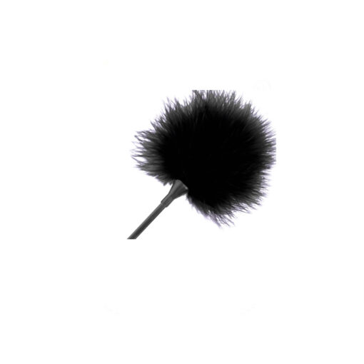 Fetish pluma negra - Imagen 3