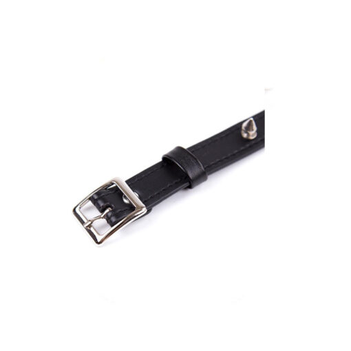 Fetish Addict collar con pinchos - Imagen 4