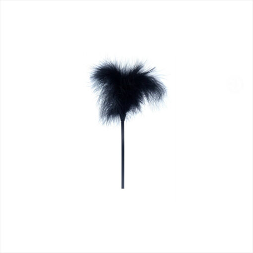 Fetish pluma negra