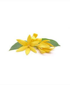 Alternative view of Durex gel de masaje Ylang-Ylang