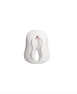 Modelo anatómico vulva y clítoris desmontable