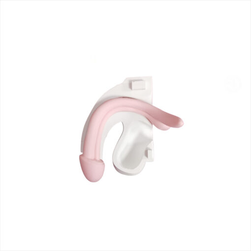 Modelo anatómico pene desmontable - Imagen 2