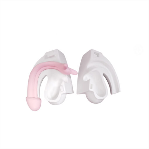 Modelo anatómico pene desmontable - Imagen 5