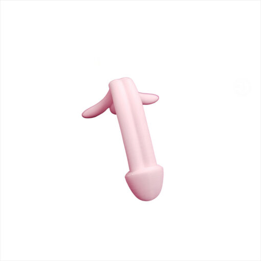 Modelo anatómico pene desmontable - Imagen 3