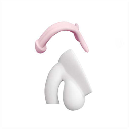 Modelo anatómico pene desmontable - Imagen 4