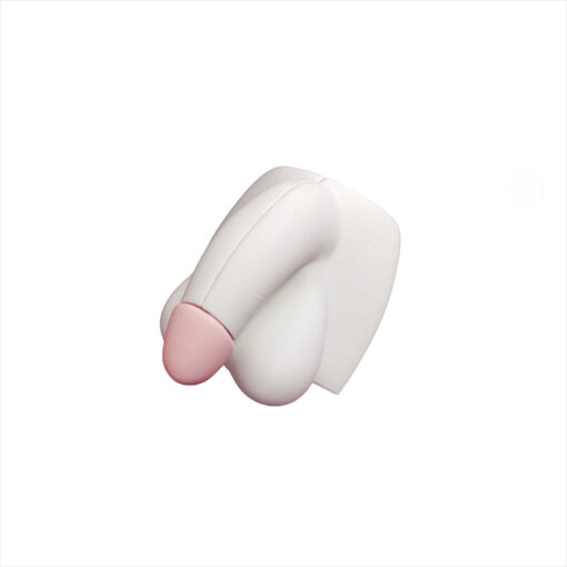 Modelo anatómico pene desmontable