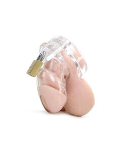 Alternative view of Jaula castidad pene iniciación básica S negra