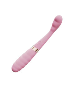 Vanessa masajeador reversible dos motores