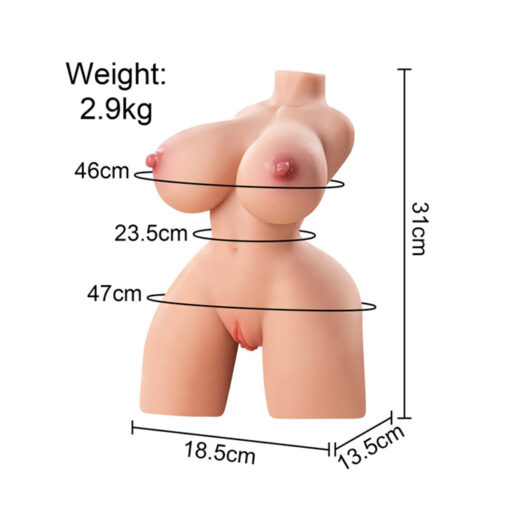Gwen mini torso realista articulado 3 kg - Imagen 7