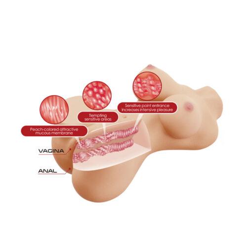 Hetty masturbador torso realístico 1,9 kg - Imagen 4