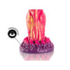 Cerberus dildo monster de fantasía - Imagen 5